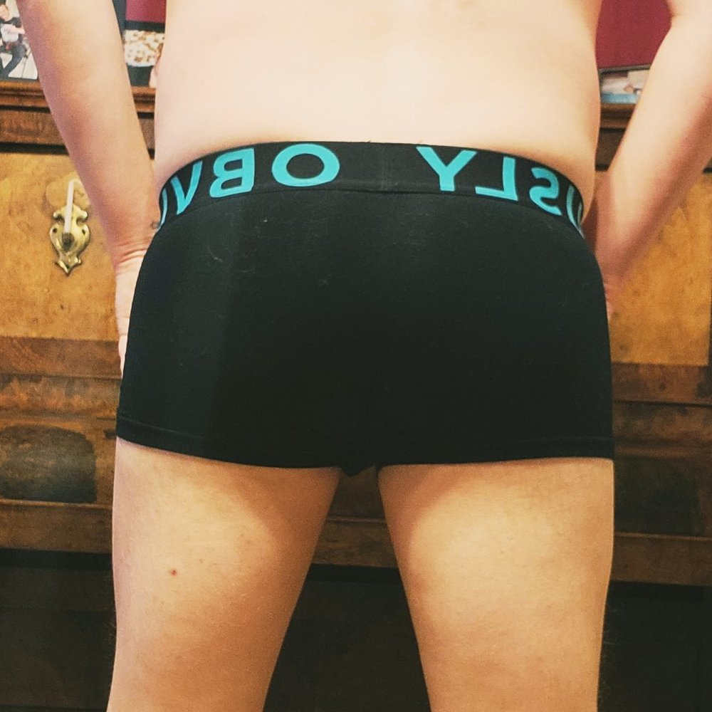 Obviously Everyman Trunk - Picture 5 of 5